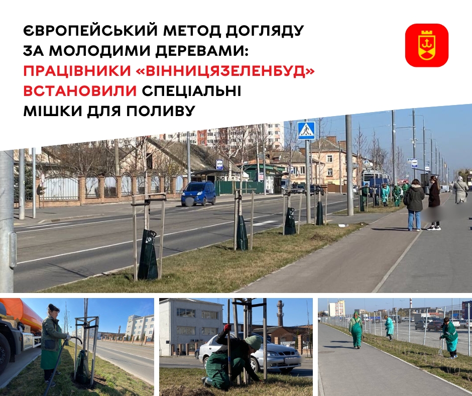 Європейський метод догляду за молодими деревами: працівники «Вінницязеленбуд» встановили спеціальні мішки для поливу 